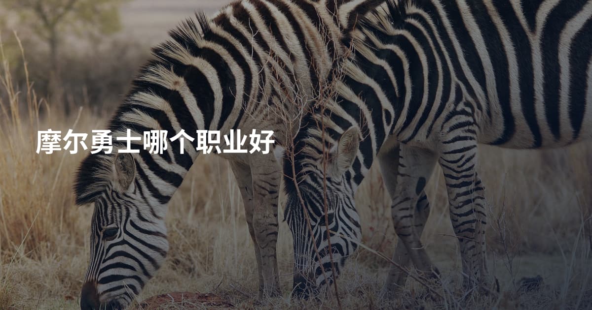 摩尔勇士哪个职业好