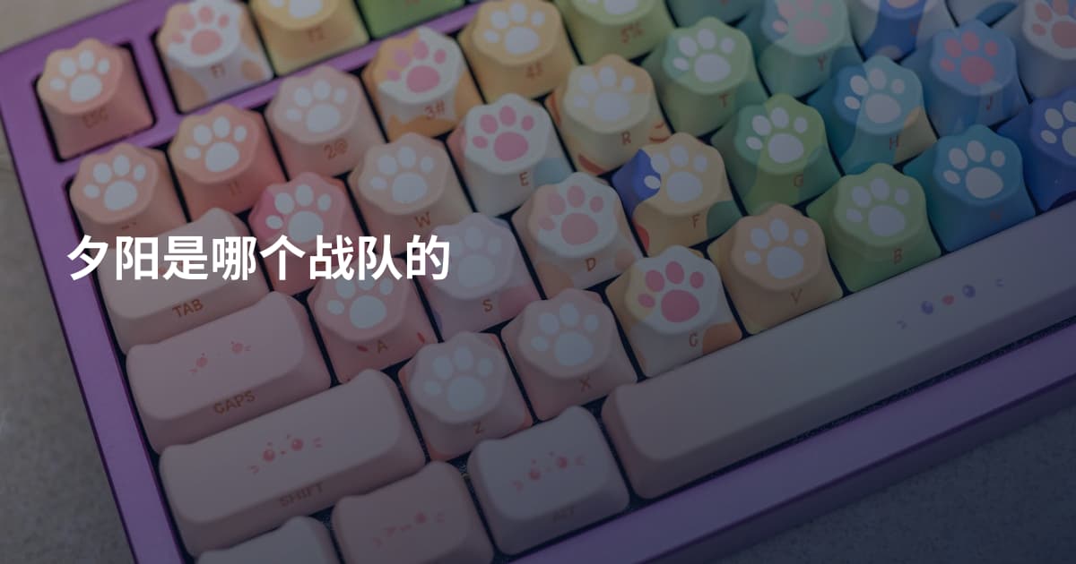 夕阳是哪个战队的