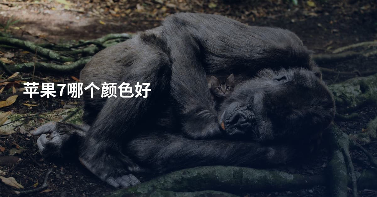 苹果7哪个颜色好