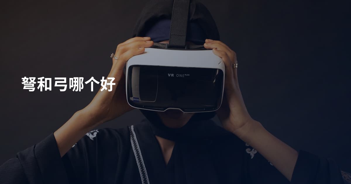 弩和弓哪个好
