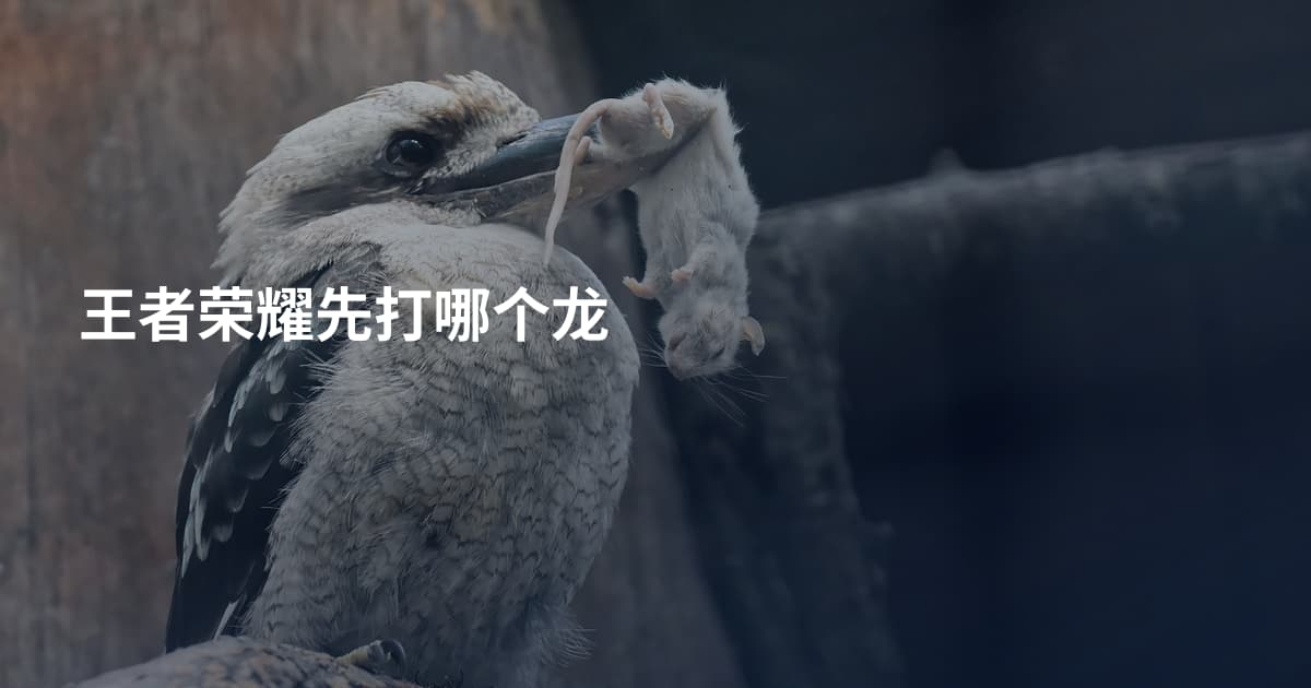 王者荣耀先打哪个龙