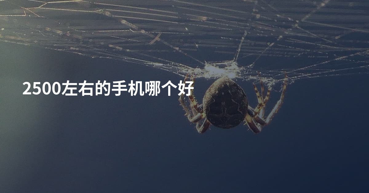 2500左右的手机哪个好
