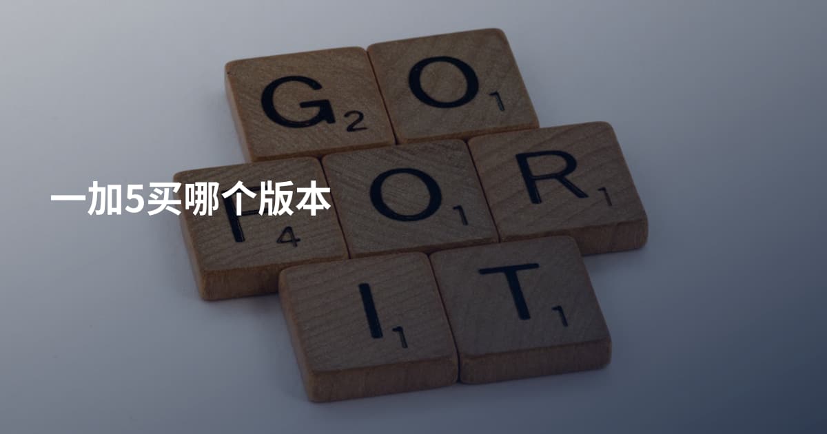 一加5买哪个版本