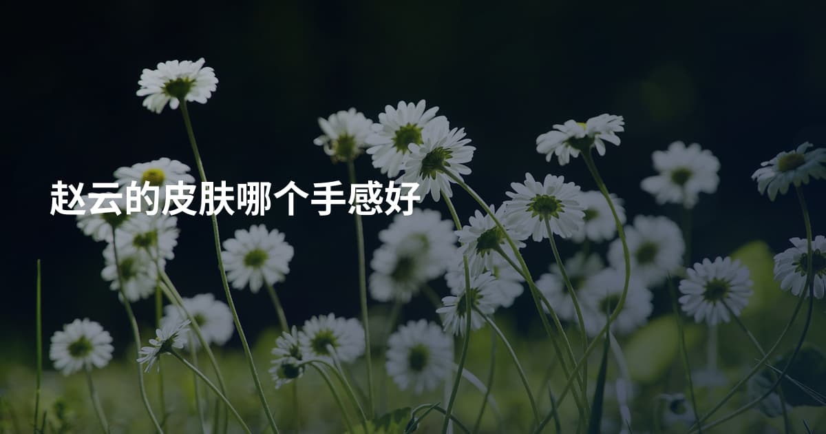 赵云的皮肤哪个手感好