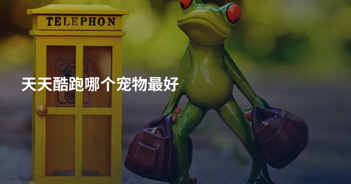 天天酷跑哪个宠物最好
