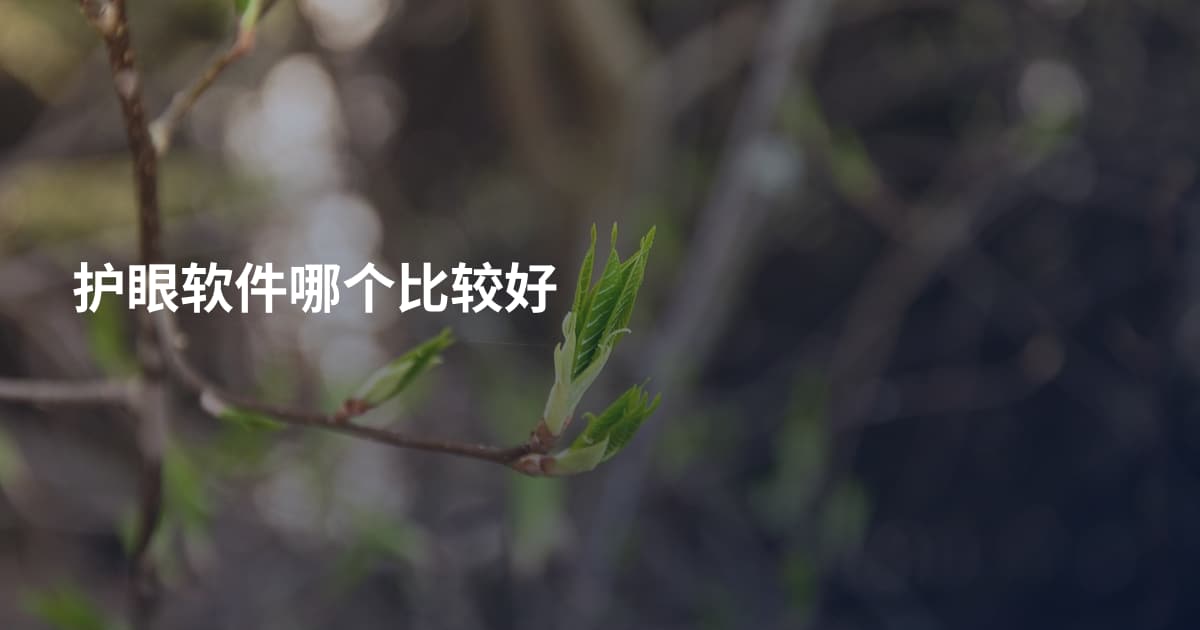 护眼软件哪个比较好