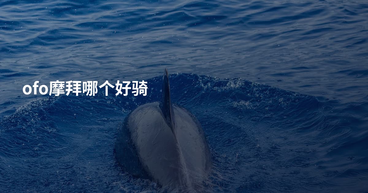 ofo摩拜哪个好骑