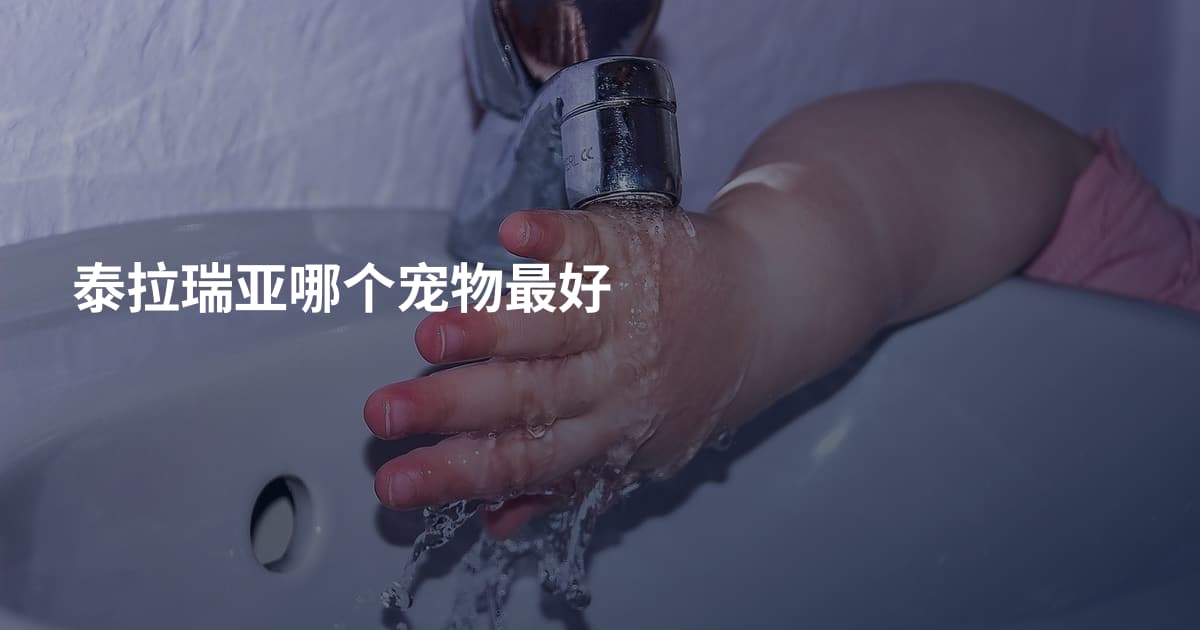 泰拉瑞亚哪个宠物最好