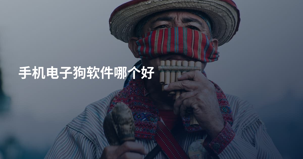手机电子狗软件哪个好
