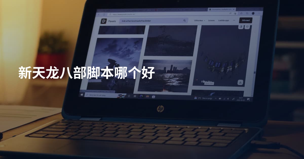 新天龙八部脚本哪个好