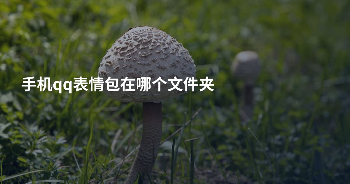 手机qq表情包在哪个文件夹