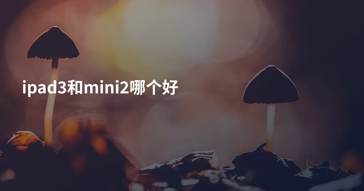 ipad3和mini2哪个好