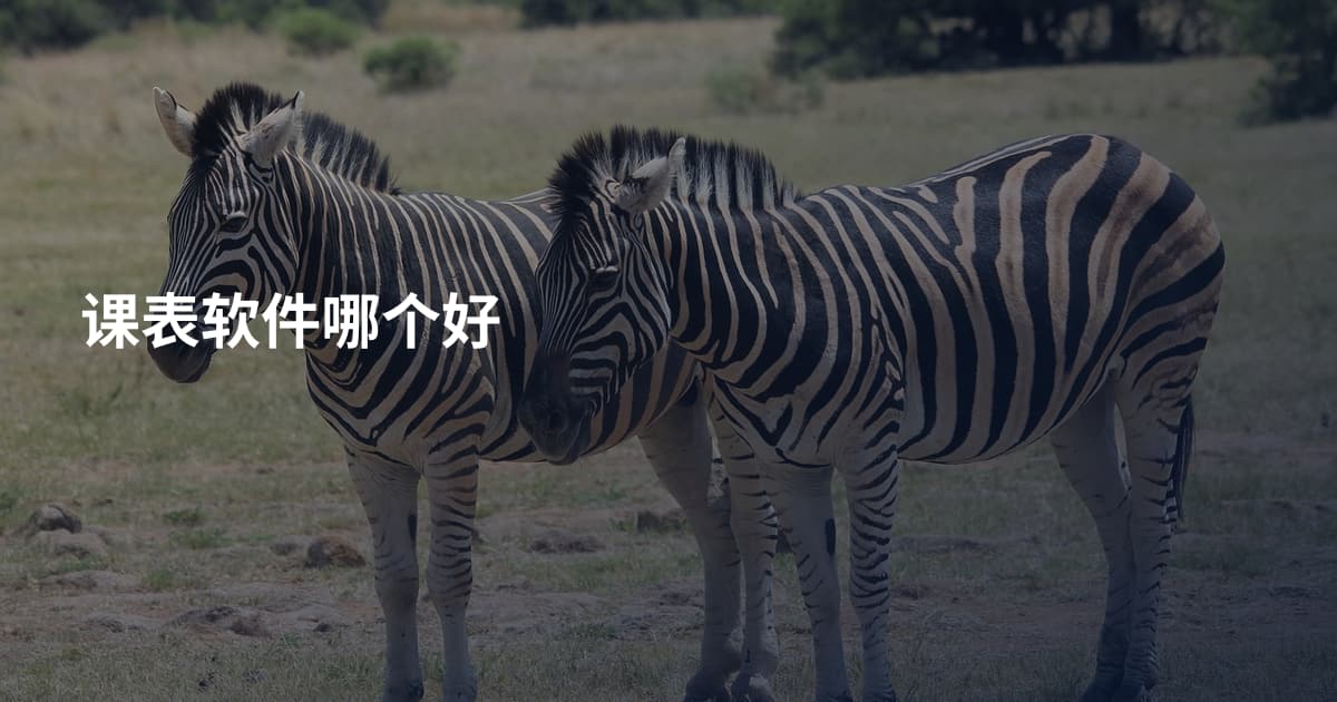 课表软件哪个好