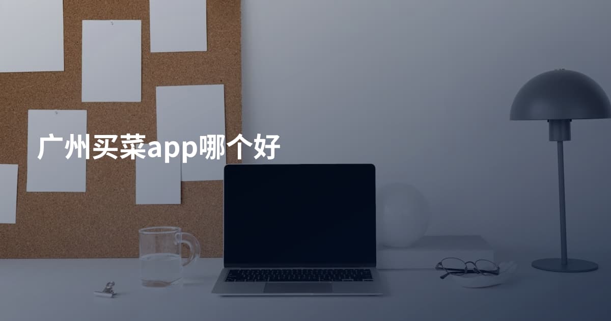 广州买菜app哪个好