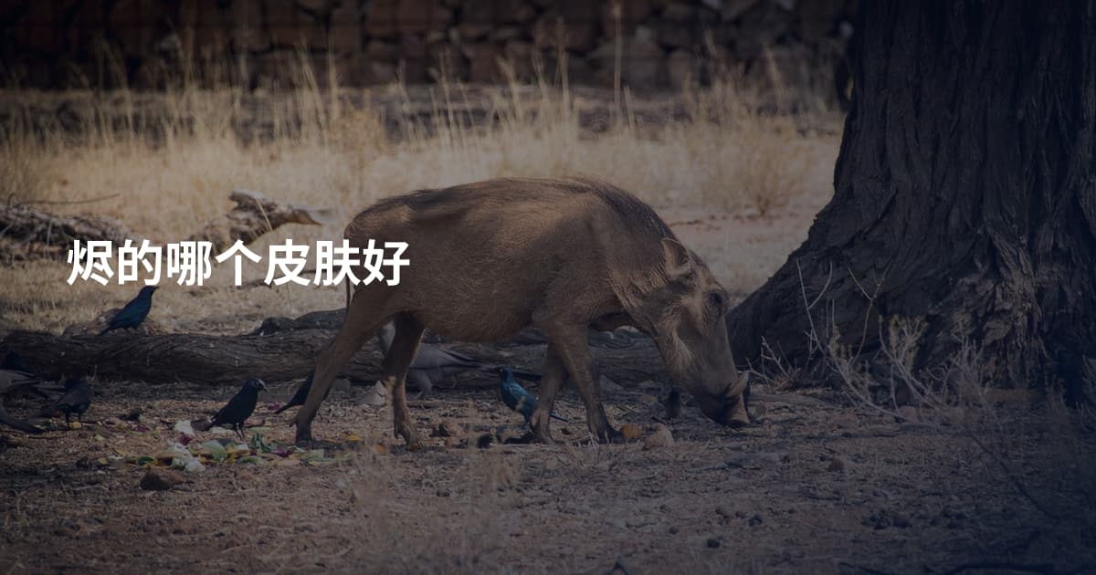 烬的哪个皮肤好