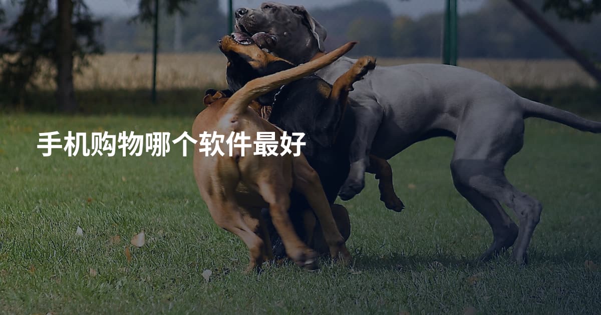手机购物哪个软件最好