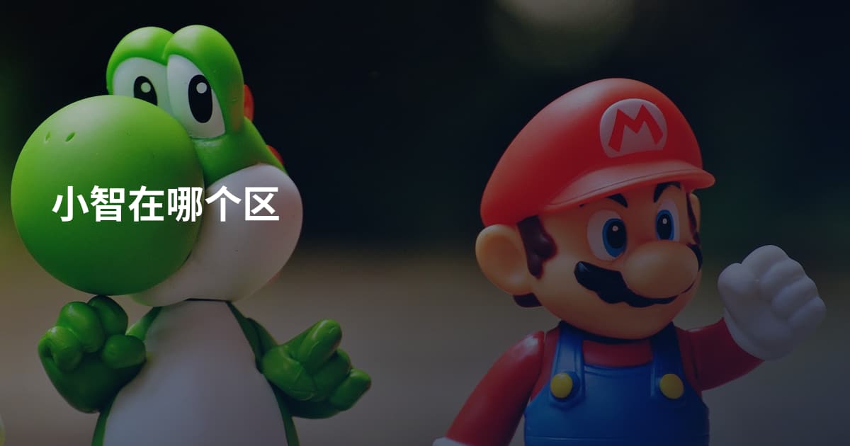 小智在哪个区