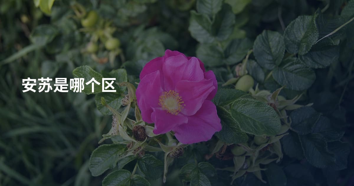 安苏是哪个区