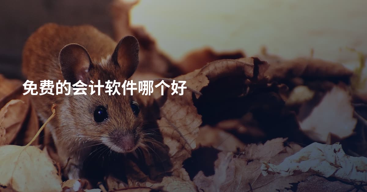 免费的会计软件哪个好