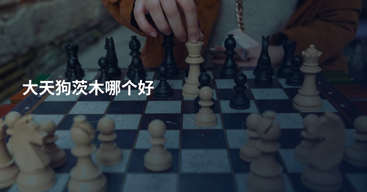 大天狗茨木哪个好