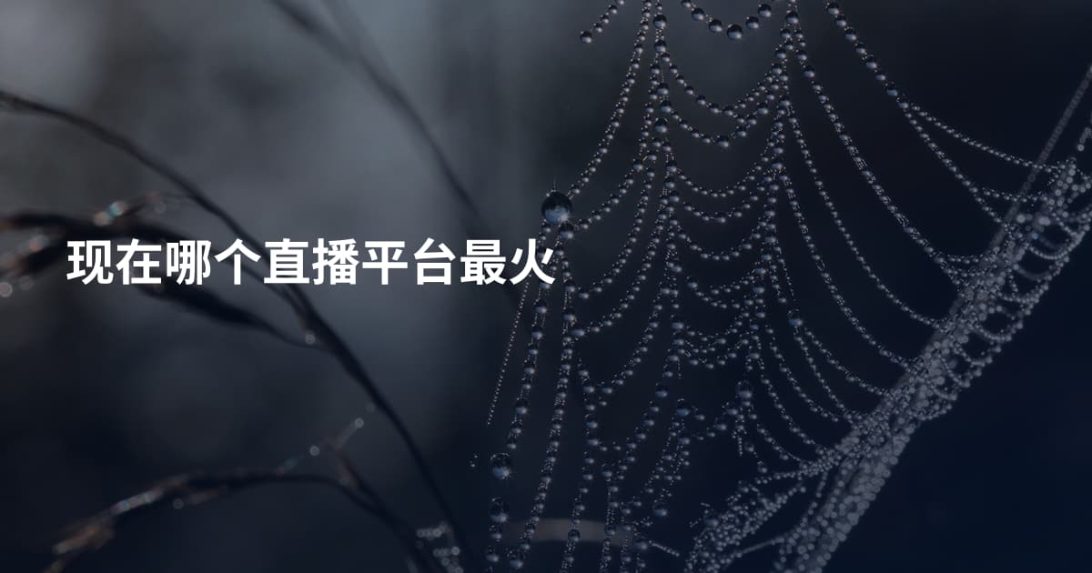 现在哪个直播平台最火