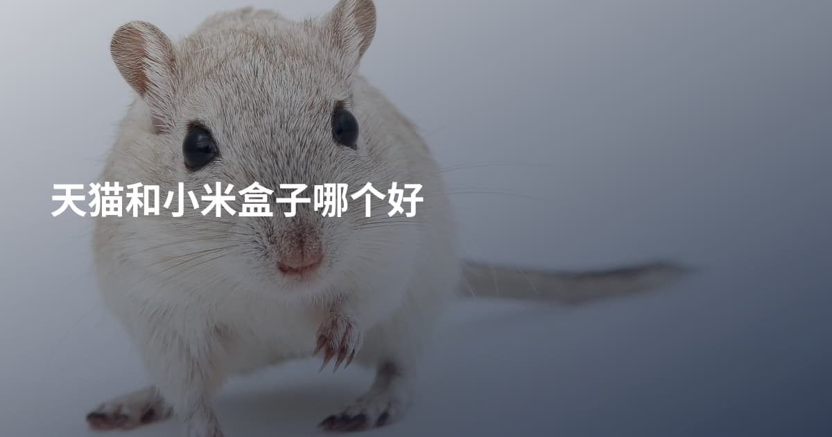 天猫和小米盒子哪个好