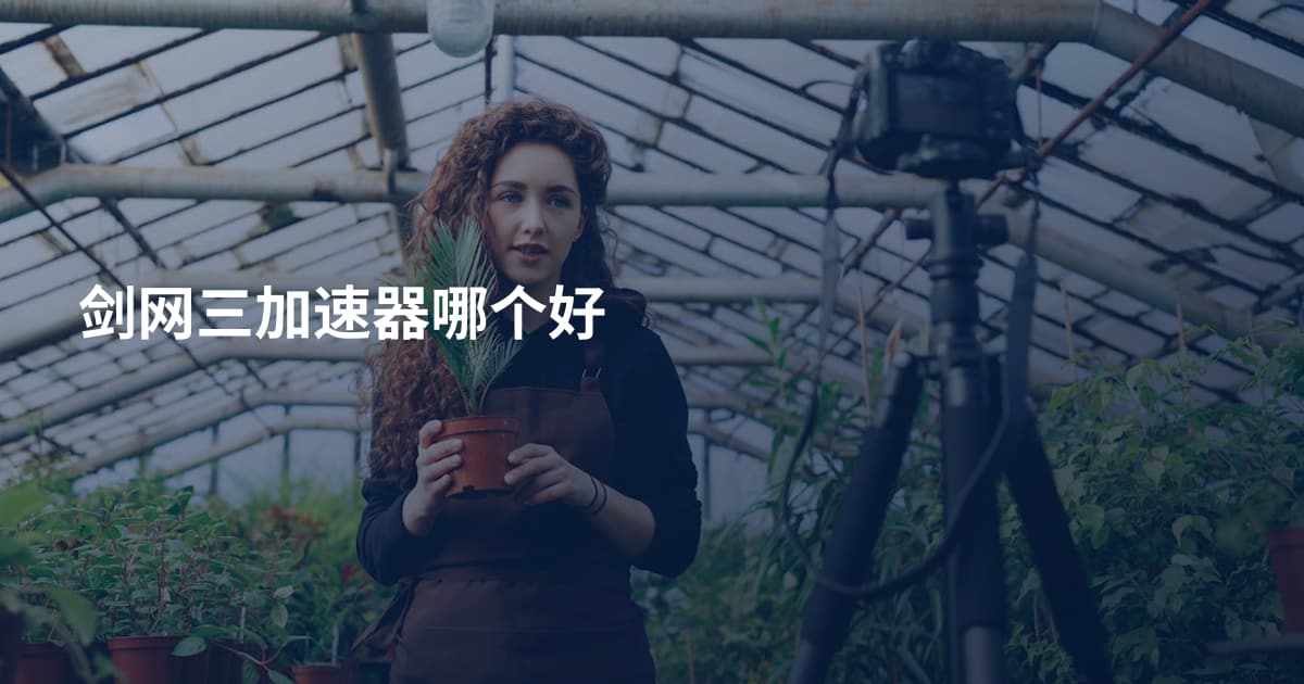剑网三加速器哪个好