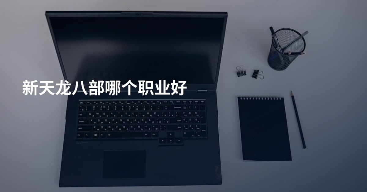 新天龙八部哪个职业好