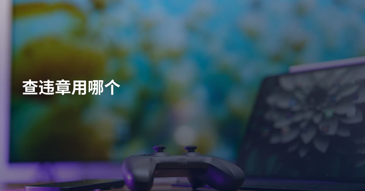 查违章用哪个