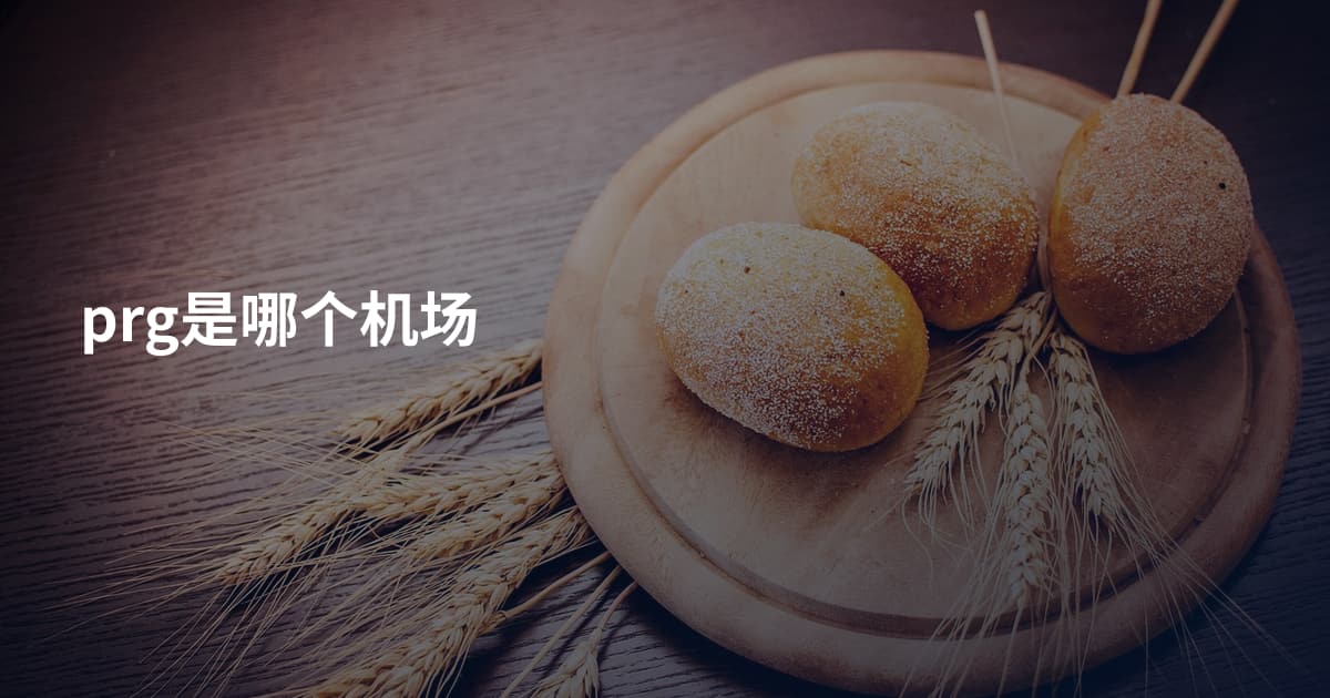 prg是哪个机场