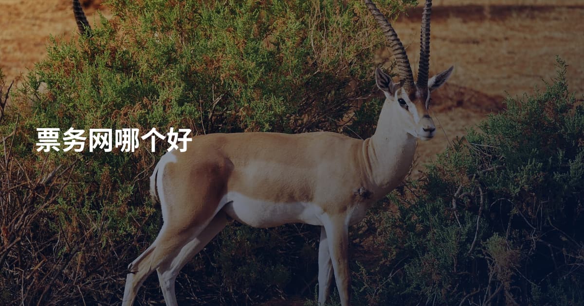 票务网哪个好