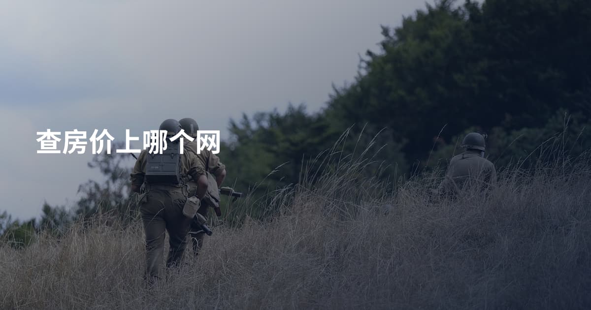 查房价上哪个网