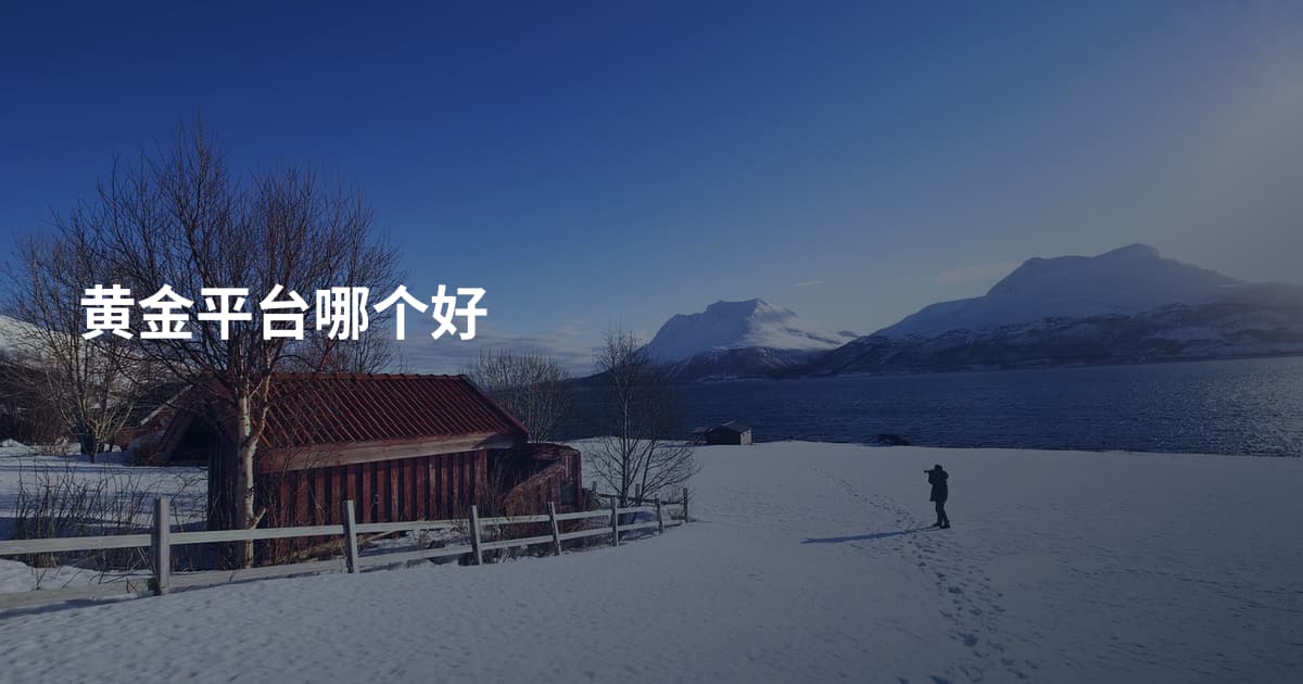 黄金平台哪个好