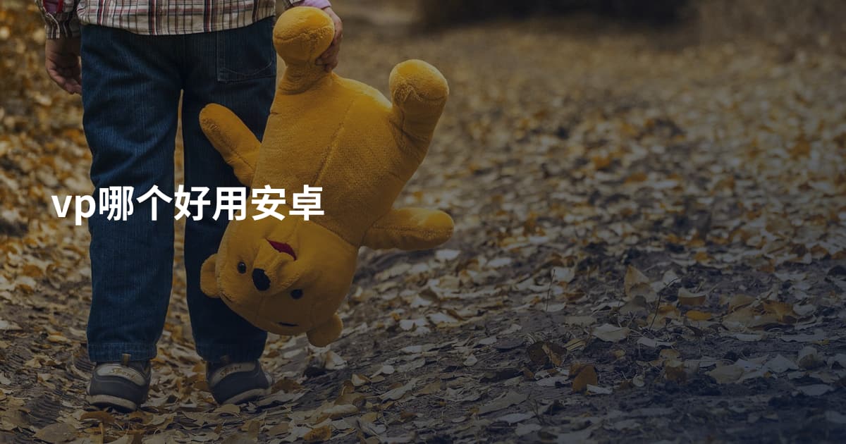 vp哪个好用安卓