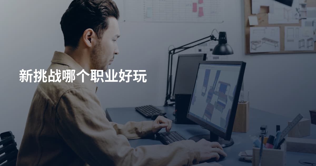新挑战哪个职业好玩
