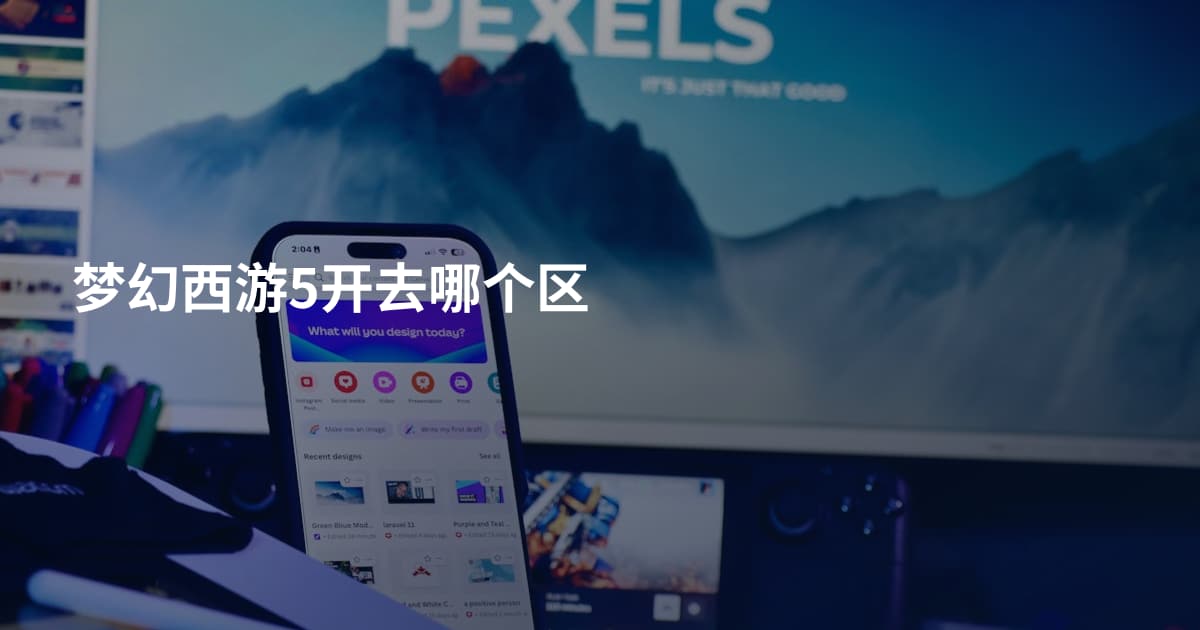 梦幻西游5开去哪个区