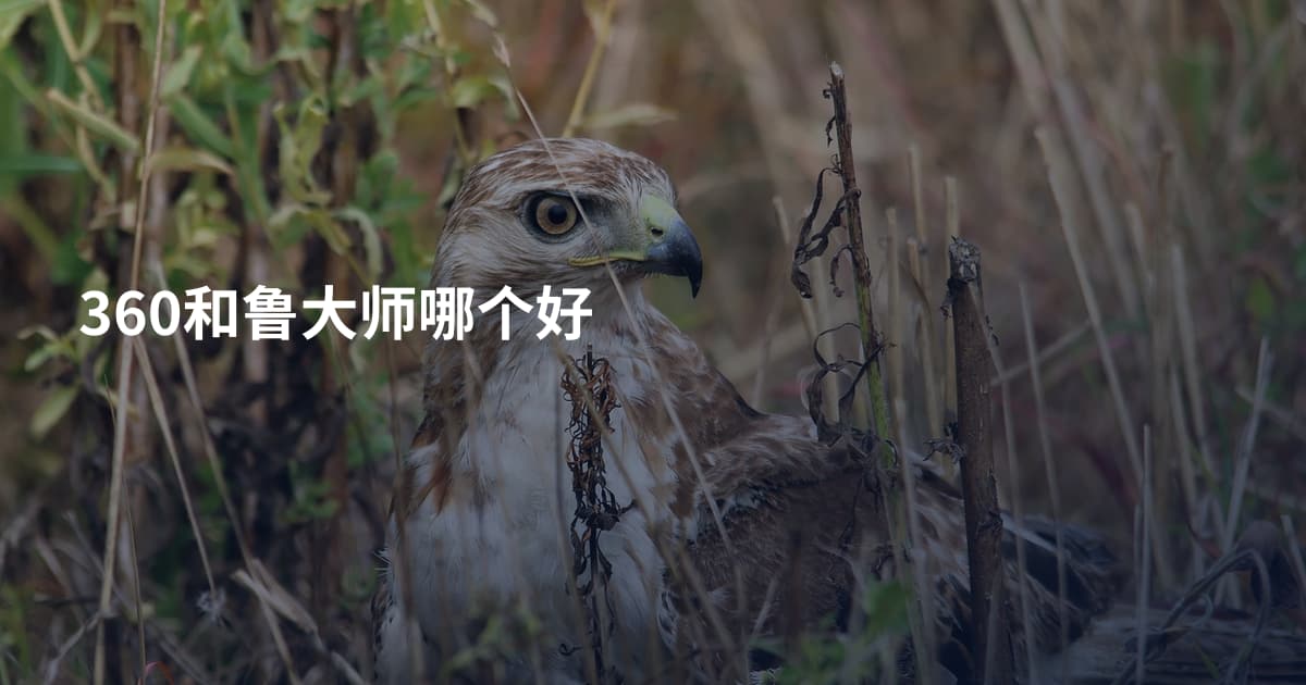 360和鲁大师哪个好