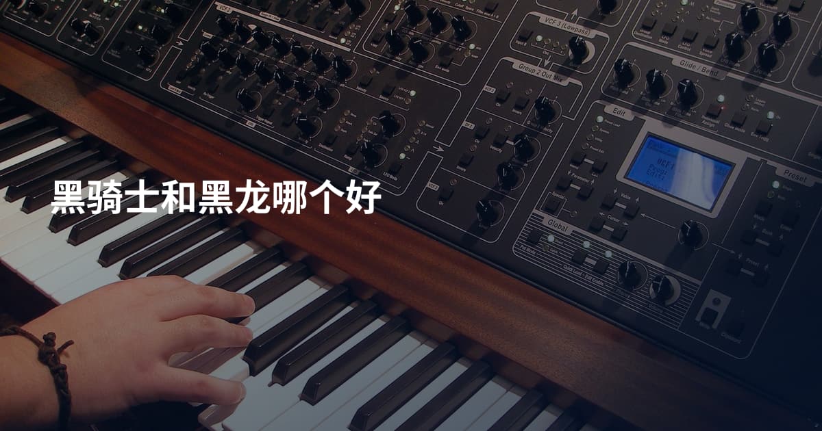 黑骑士和黑龙哪个好