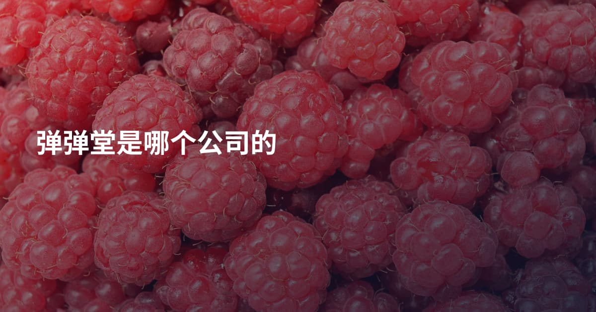 弹弹堂是哪个公司的