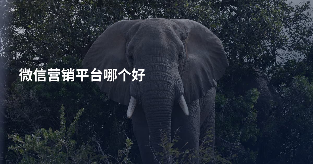 微信营销平台哪个好