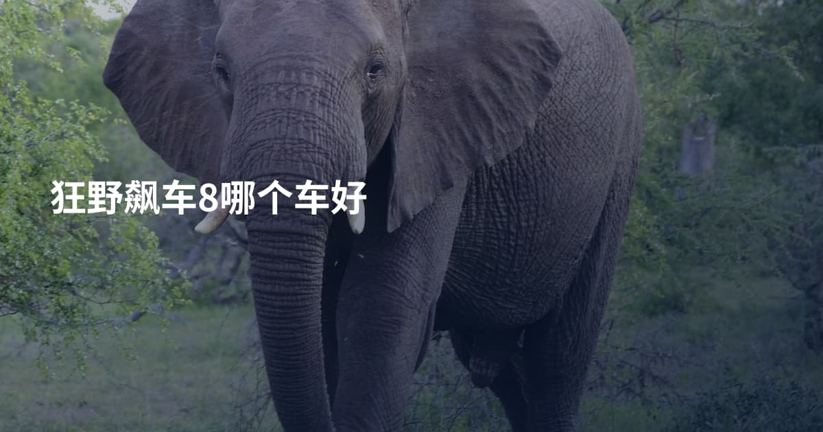 狂野飙车8哪个车好