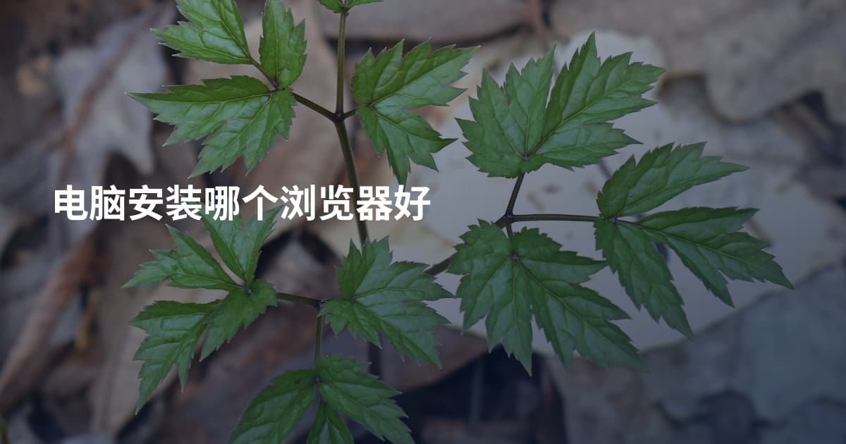 电脑安装哪个浏览器好