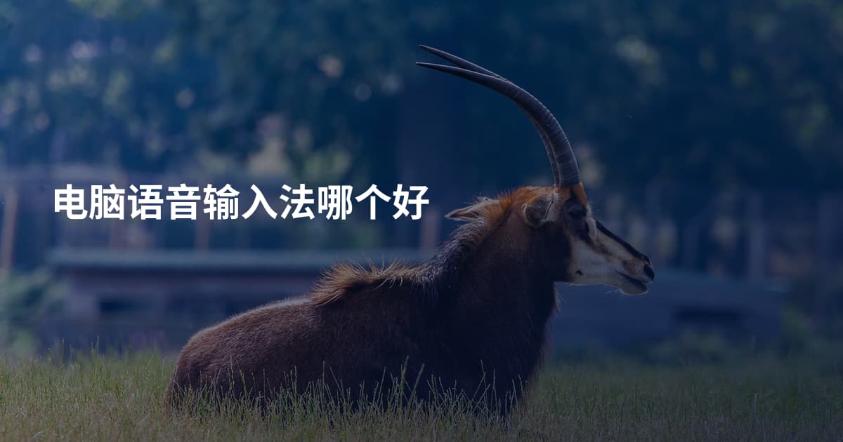 电脑语音输入法哪个好