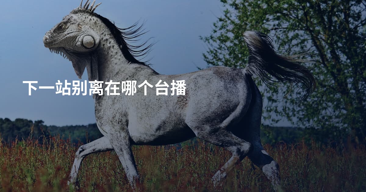 下一站别离在哪个台播