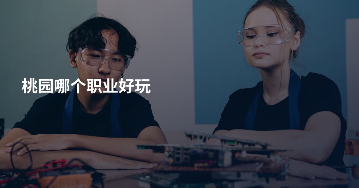 桃园哪个职业好玩
