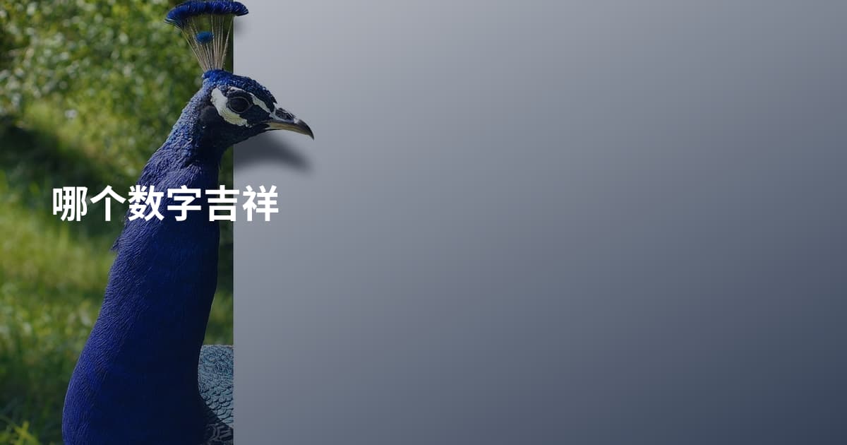 哪个数字吉祥