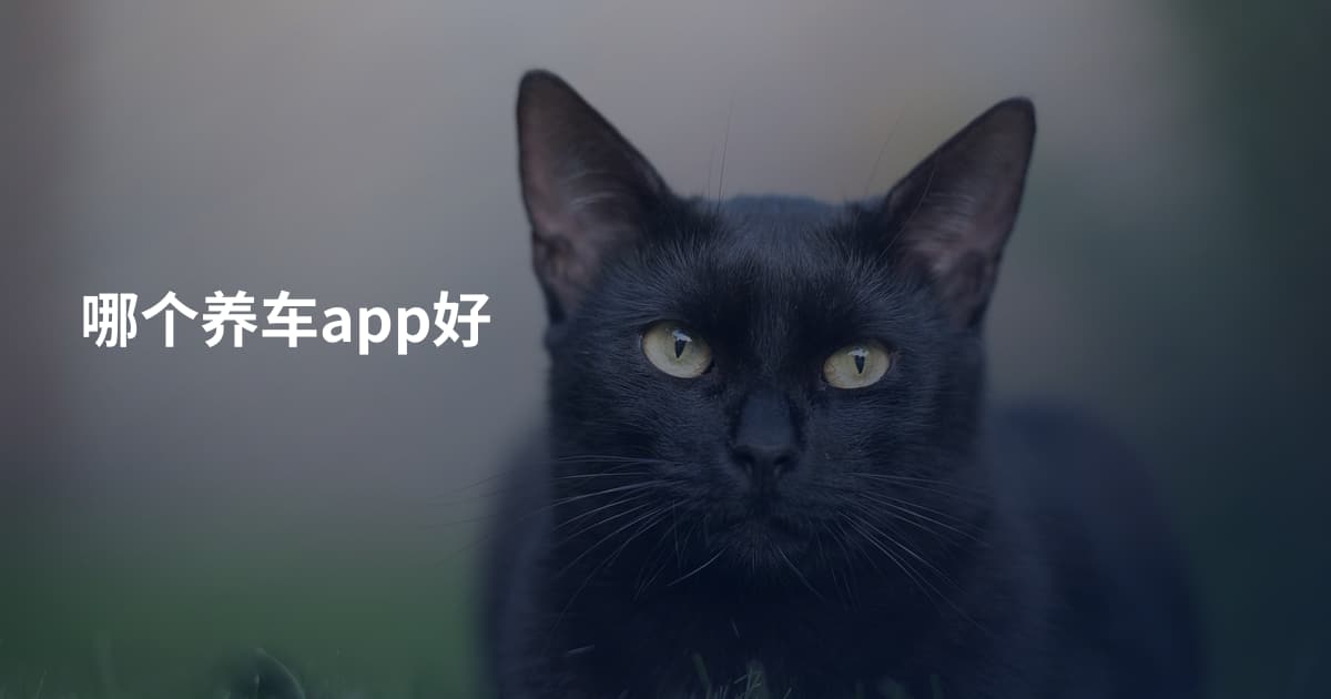 哪个养车app好