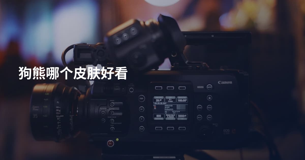 狗熊哪个皮肤好看