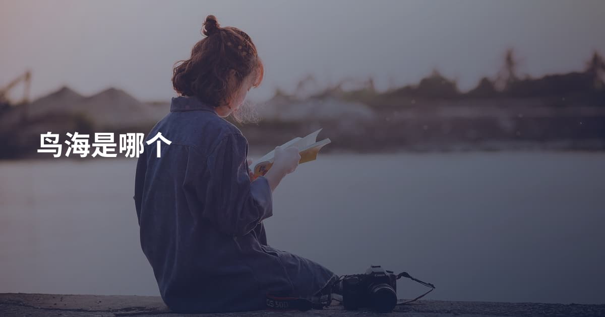 鸟海是哪个