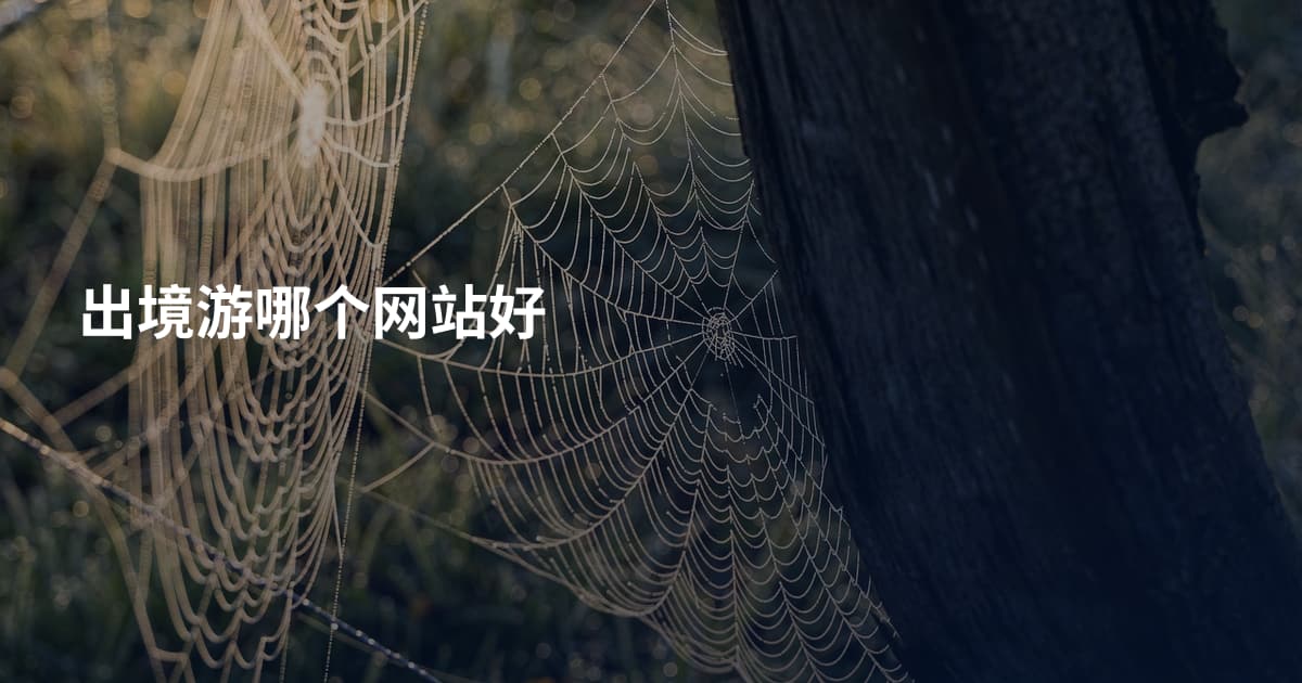 出境游哪个网站好